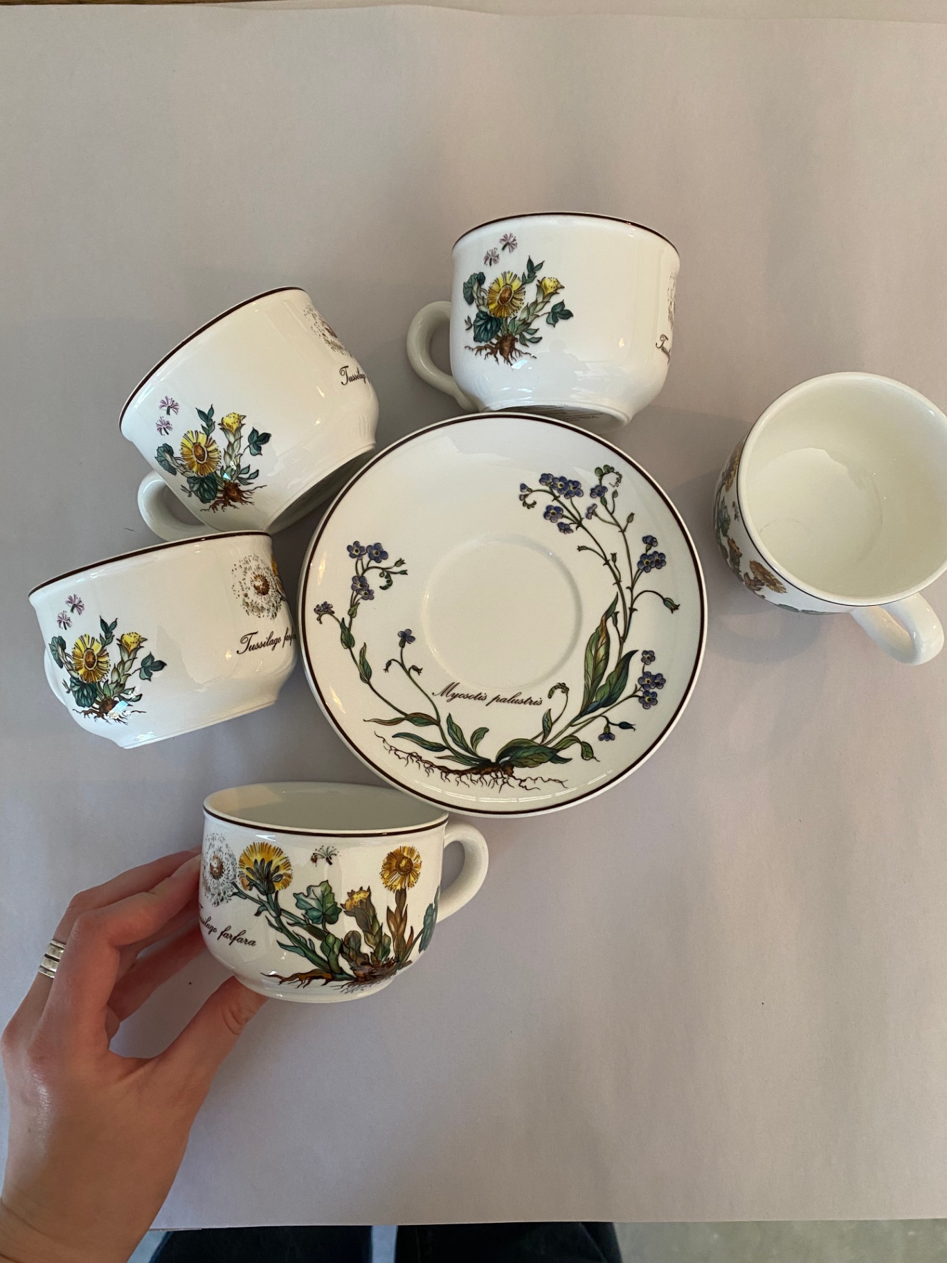 1980's Villeroy & Boch Botanica Tea Set - image 4 of 4