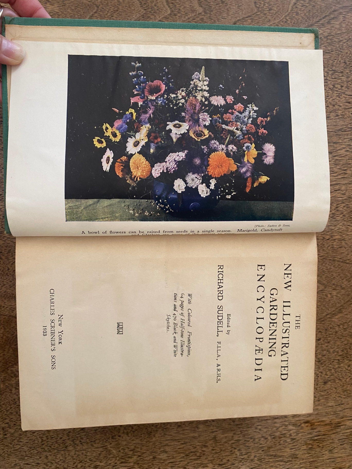 Vintage Books - image 9 of 16