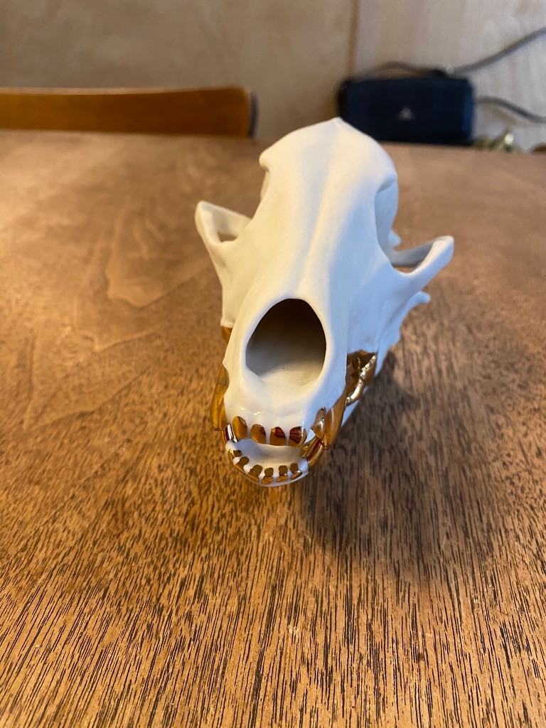 Porcelain Skulls by Beetle & Flor  - image 2 of 6