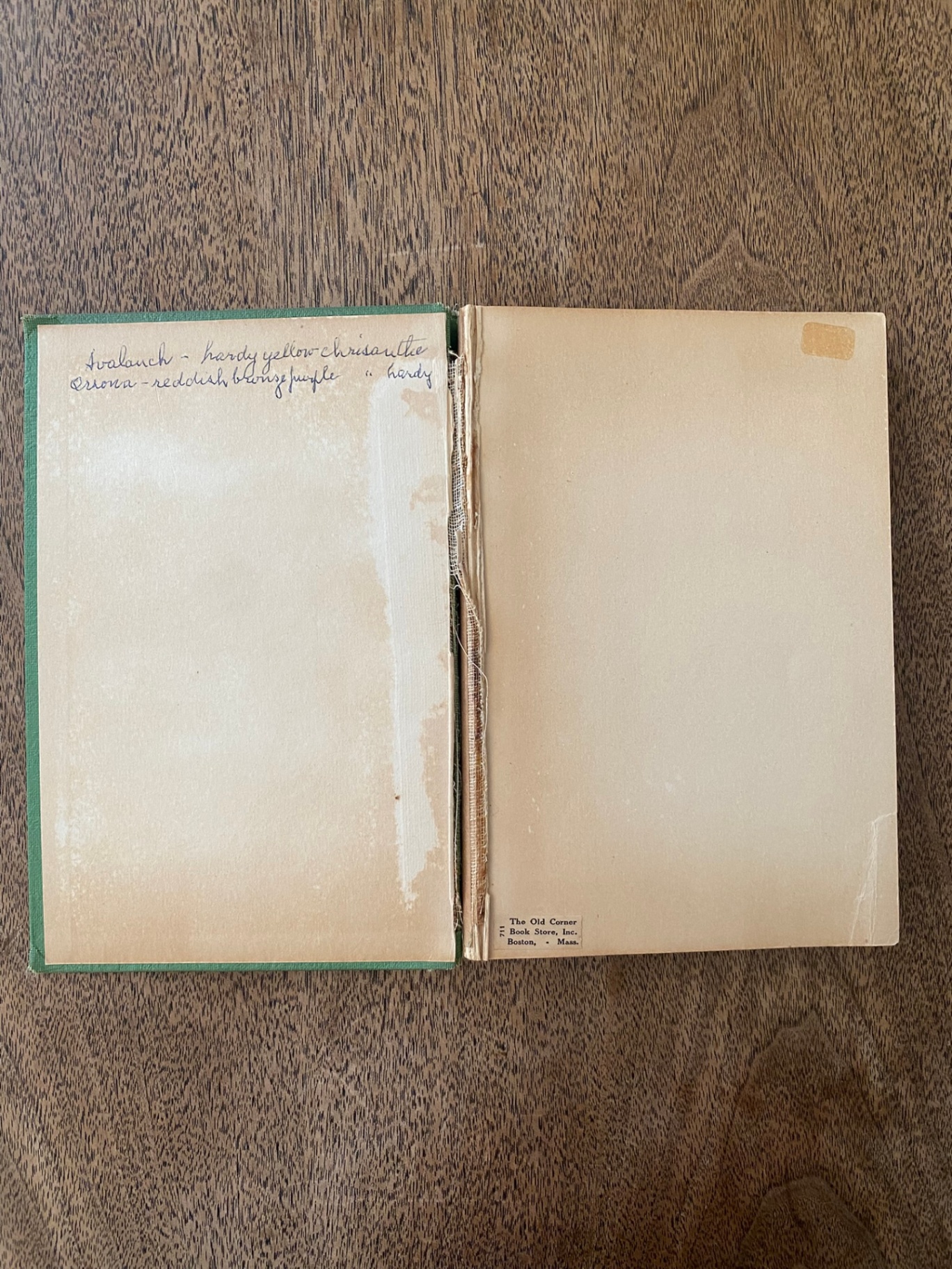 Vintage Books - image 4 of 16