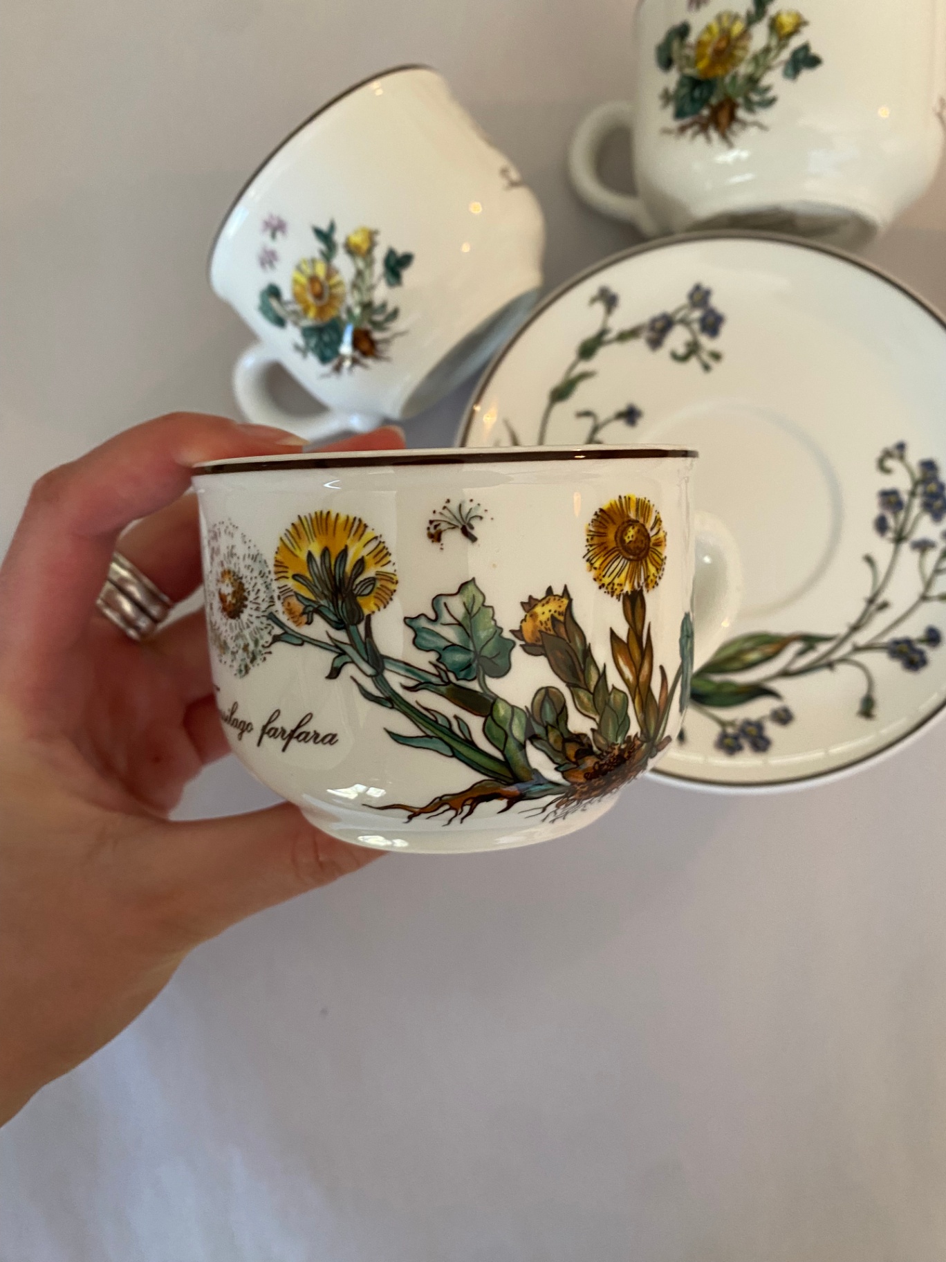 1980's Villeroy & Boch Botanica Tea Set - image 2 of 4
