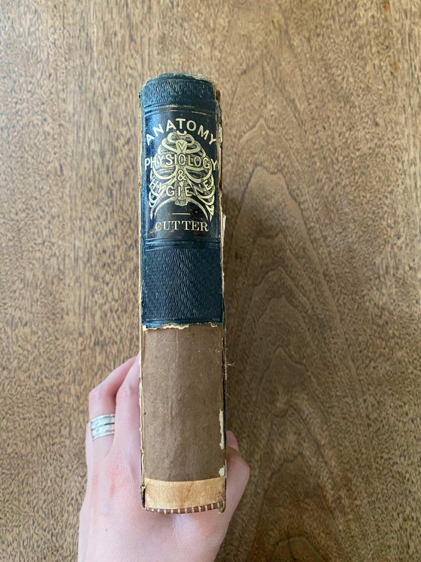 Vintage Books - image 12 of 16