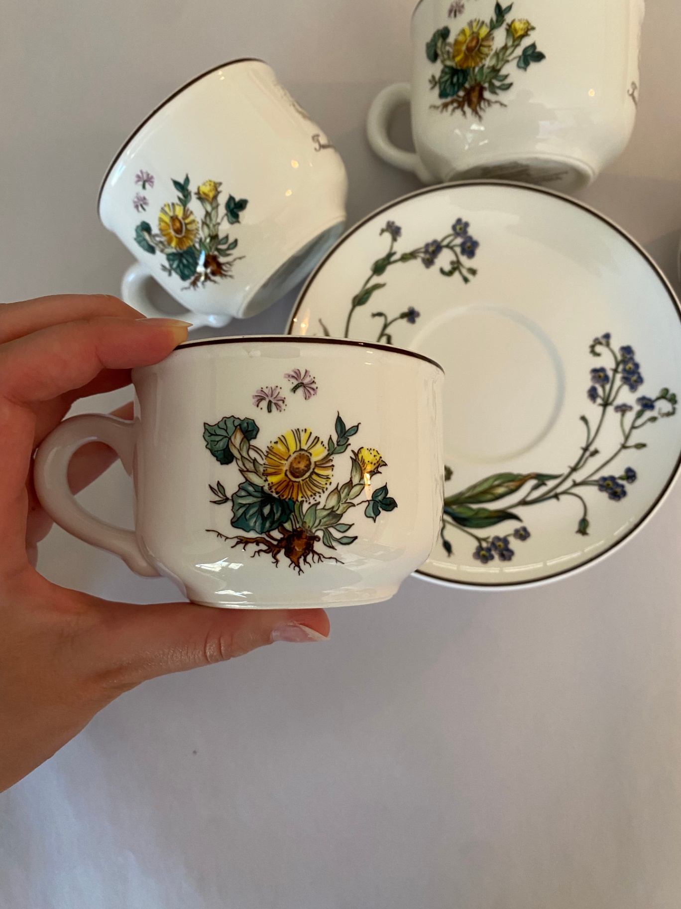 1980's Villeroy & Boch Botanica Tea Set - image 1 of 4