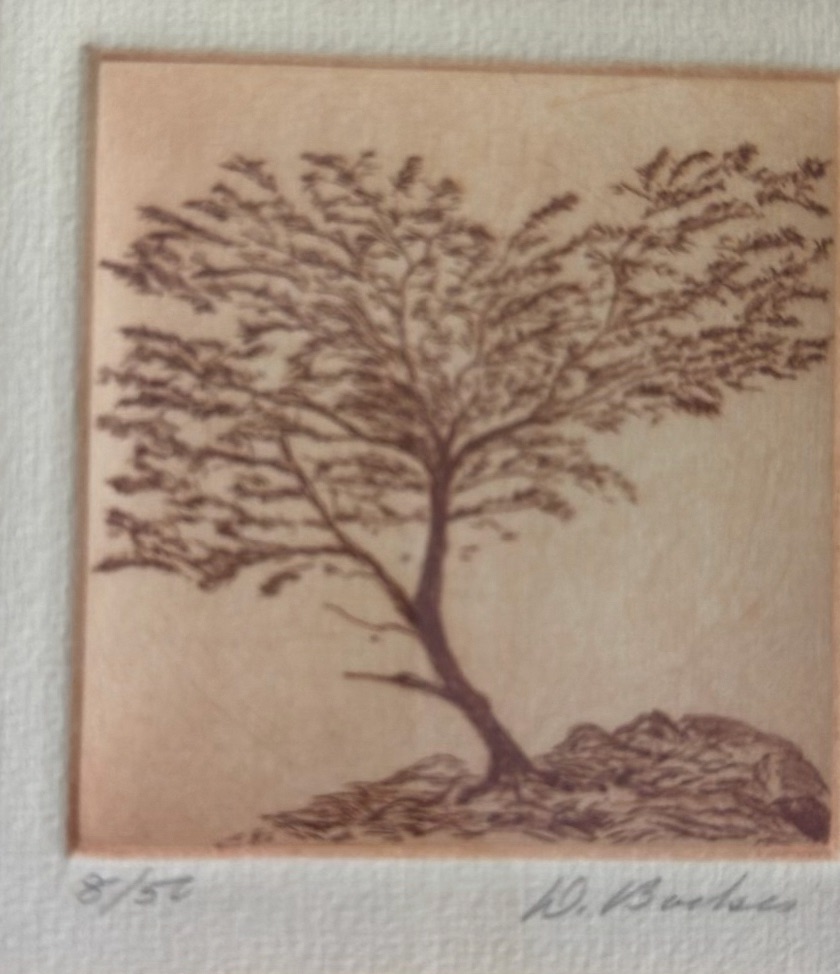 Assorted Decorative Picture Frames and Framed Artwork - image 7 of 7