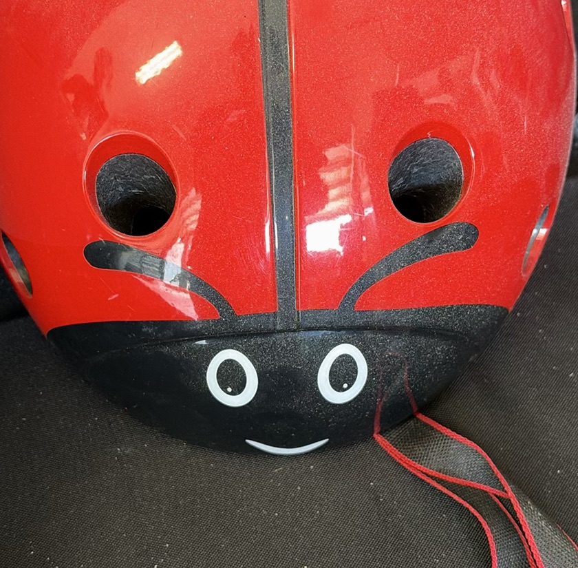 Green Schwinn bicycle helmet and red ladybug helmet - image 3 of 3