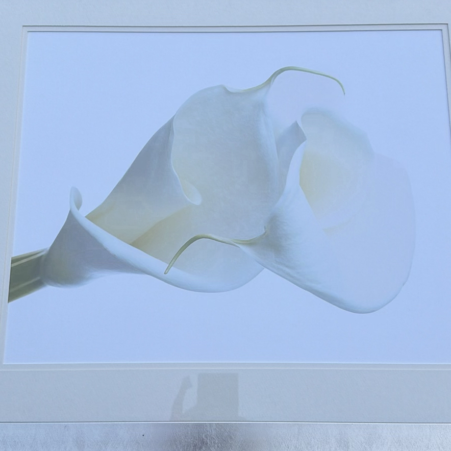 Framed White Calla Lily Wall Art Print - image 3 of 4