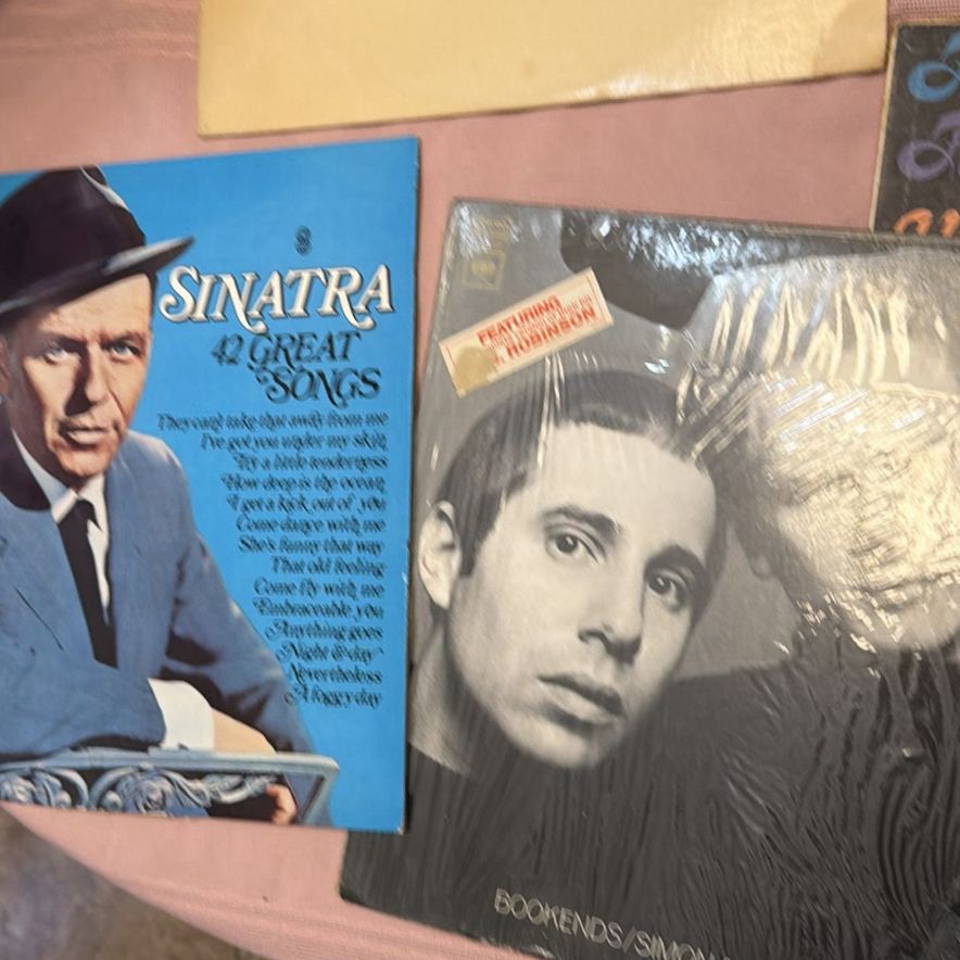 Vintage vinyl record collection - image 7 of 7