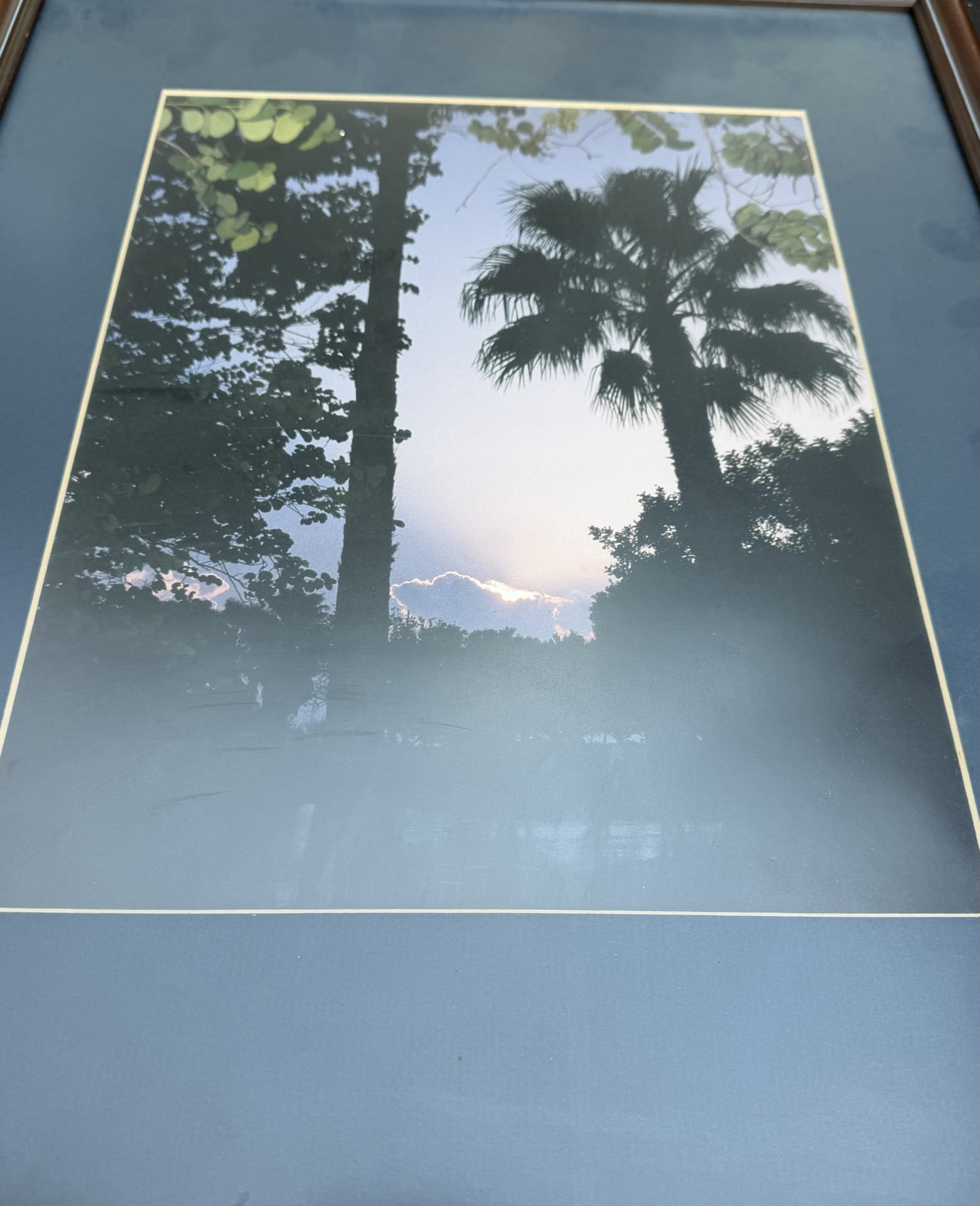 Framed Palm Tree Landscape Print - image 3 of 3