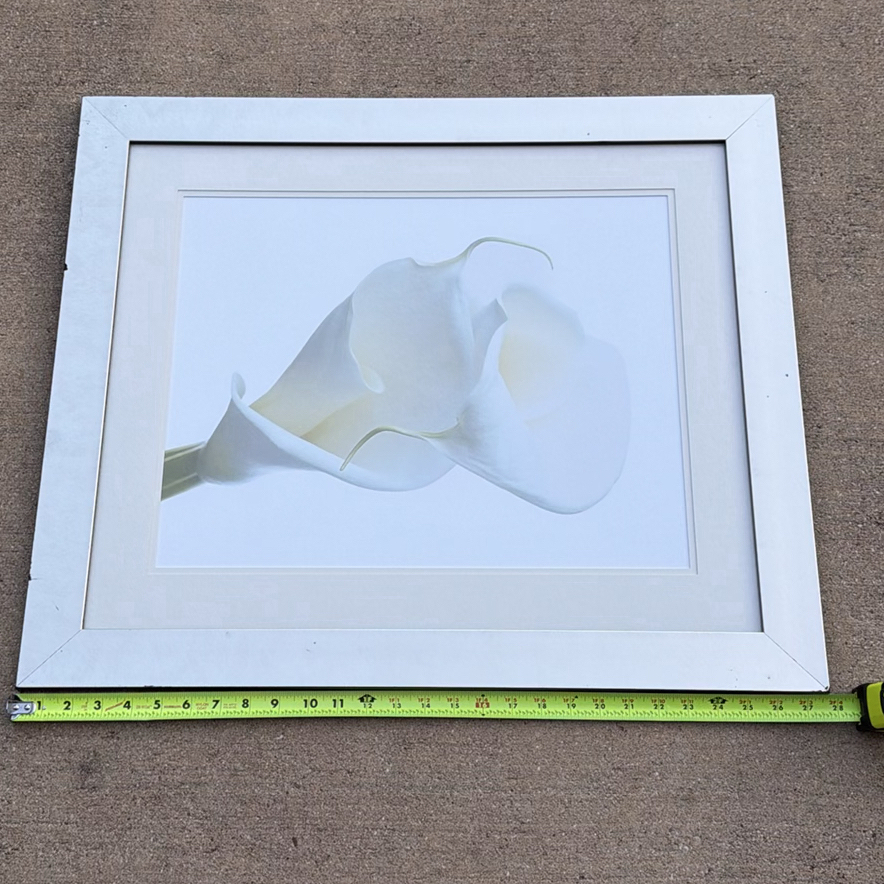 Framed White Calla Lily Wall Art Print - image 1 of 4