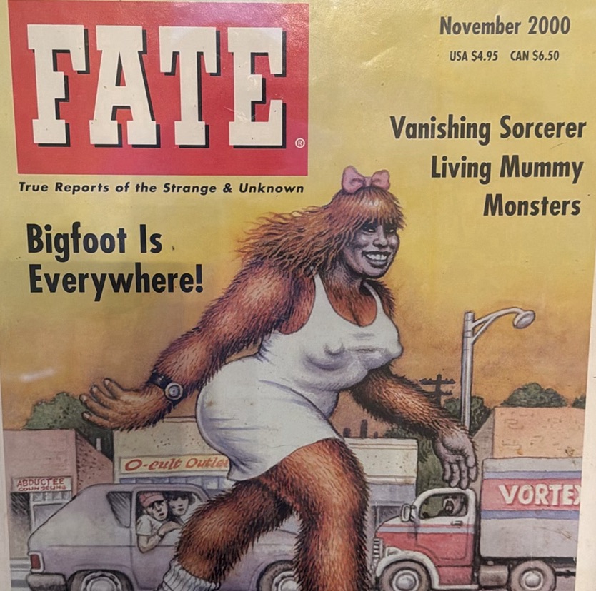 Framed FATE Magazine Cover Print November 2000 - image 3 of 3