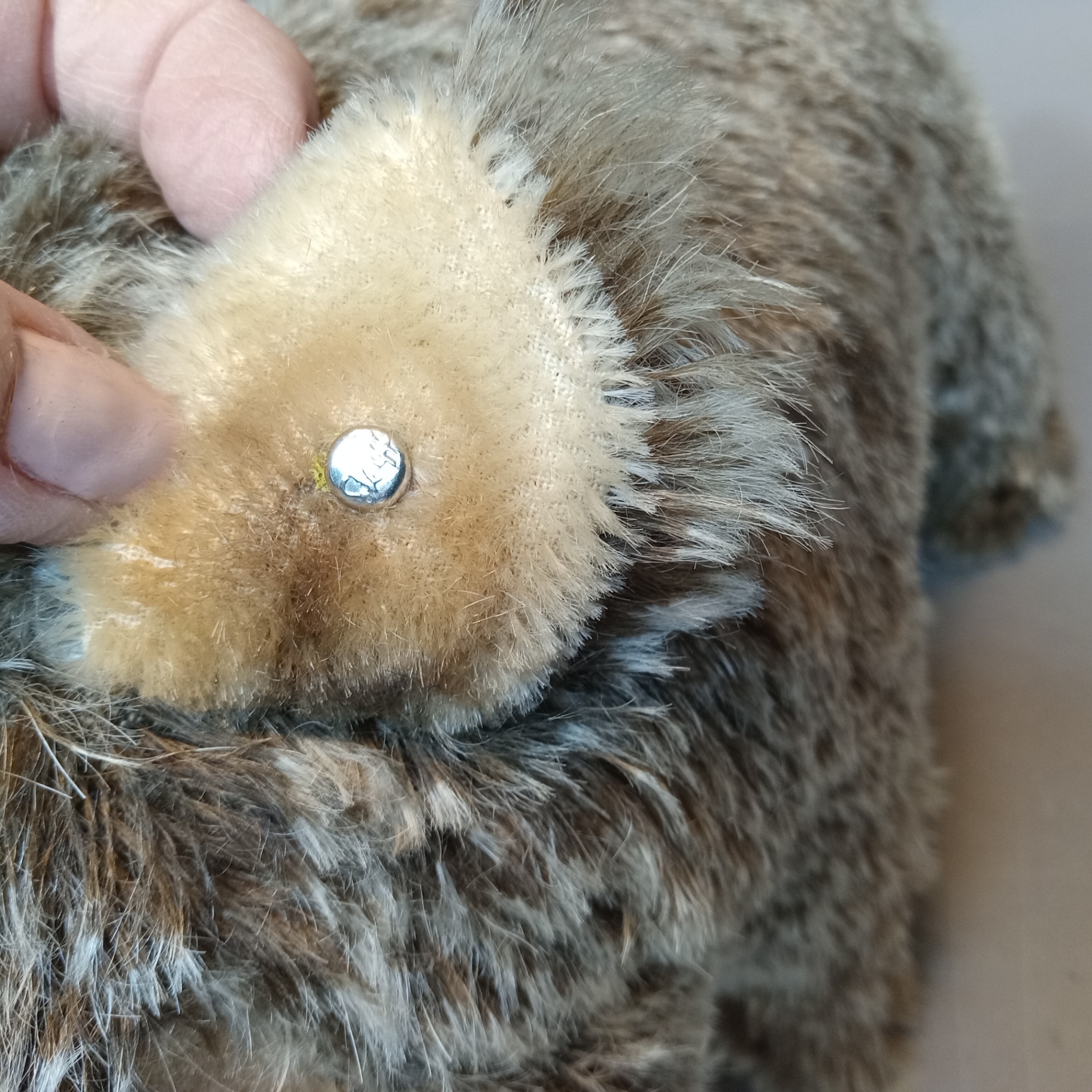 Vintage Steiff Wild Boar Stuffie - image 3 of 9