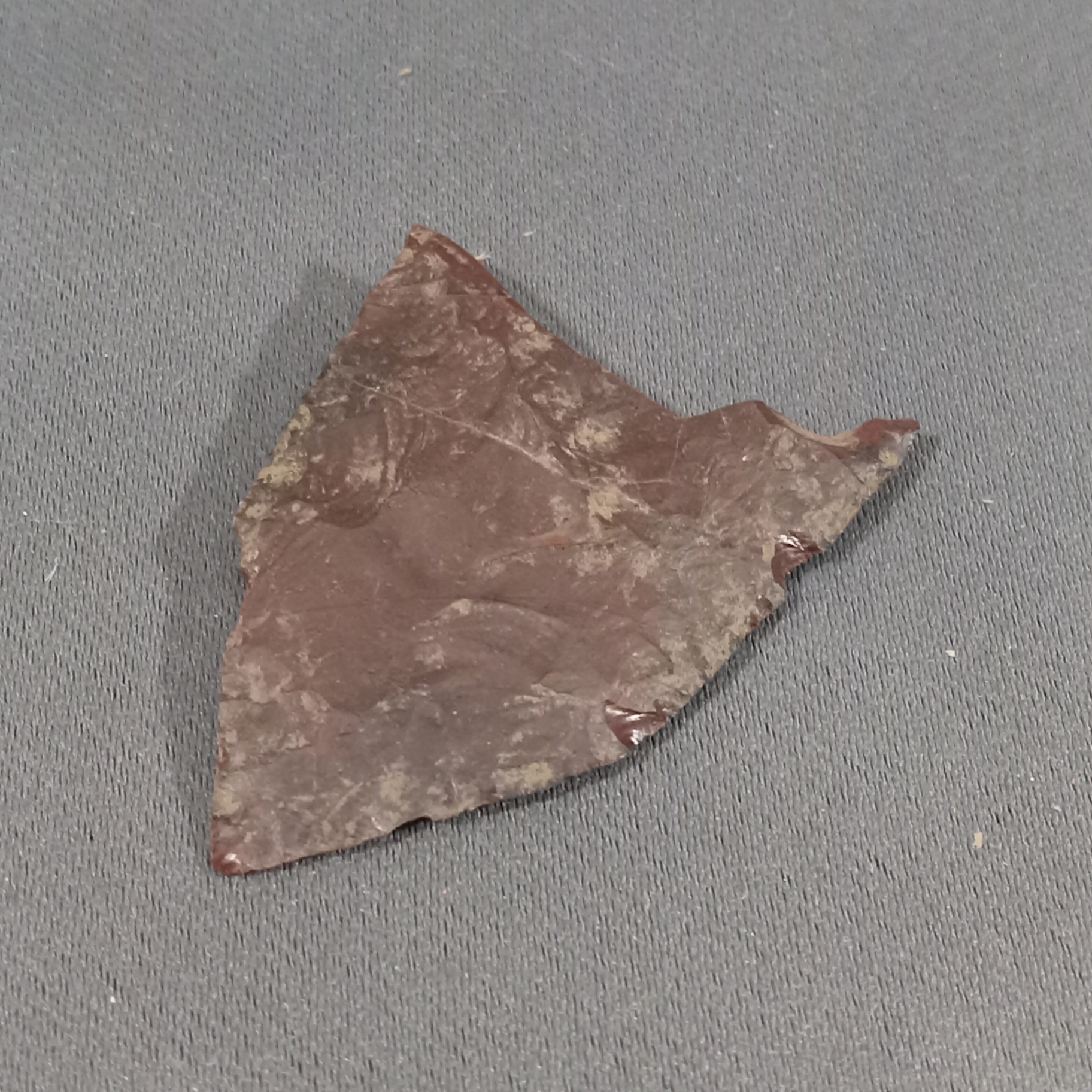 For the Knife Collector - image 7 of 28