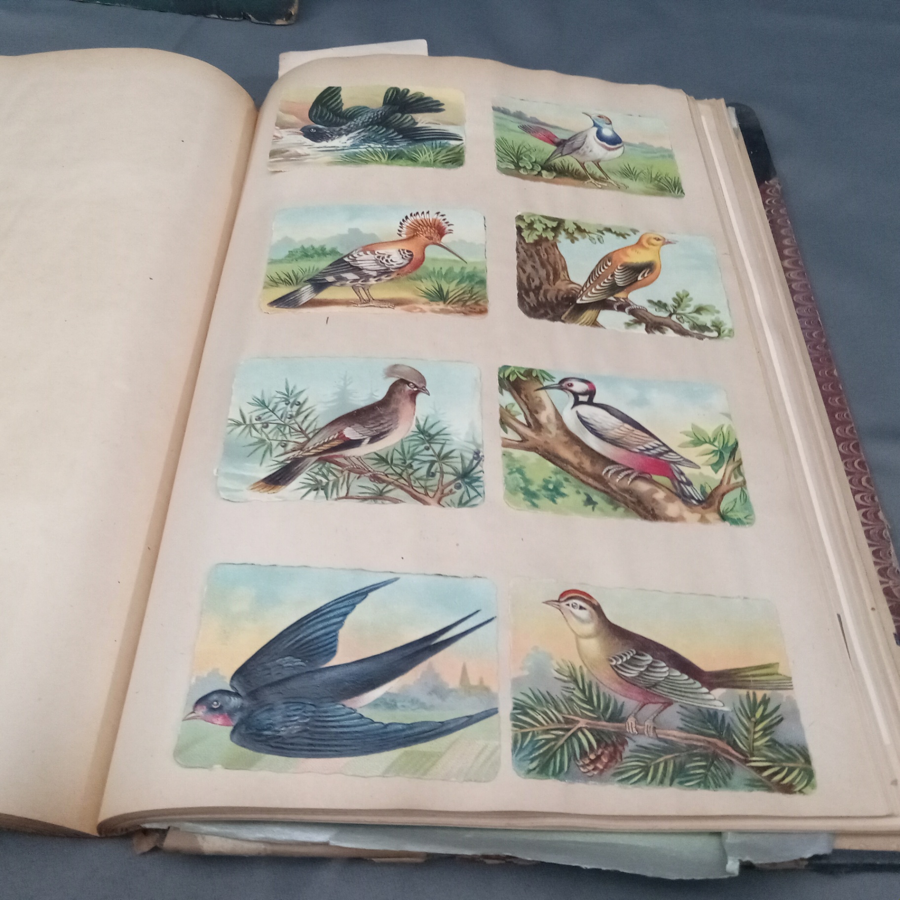 Antique Scrapbooks - Whimsical - image 7 of 25