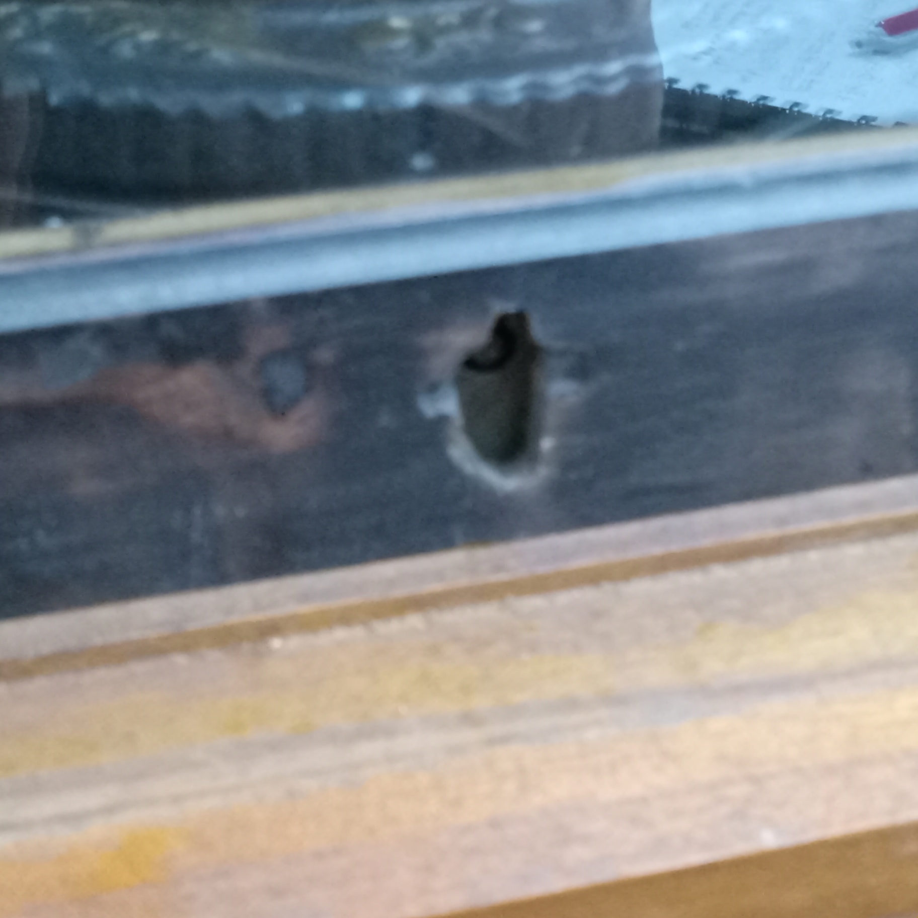 Polyphone Upright Music Box - image 20 of 27