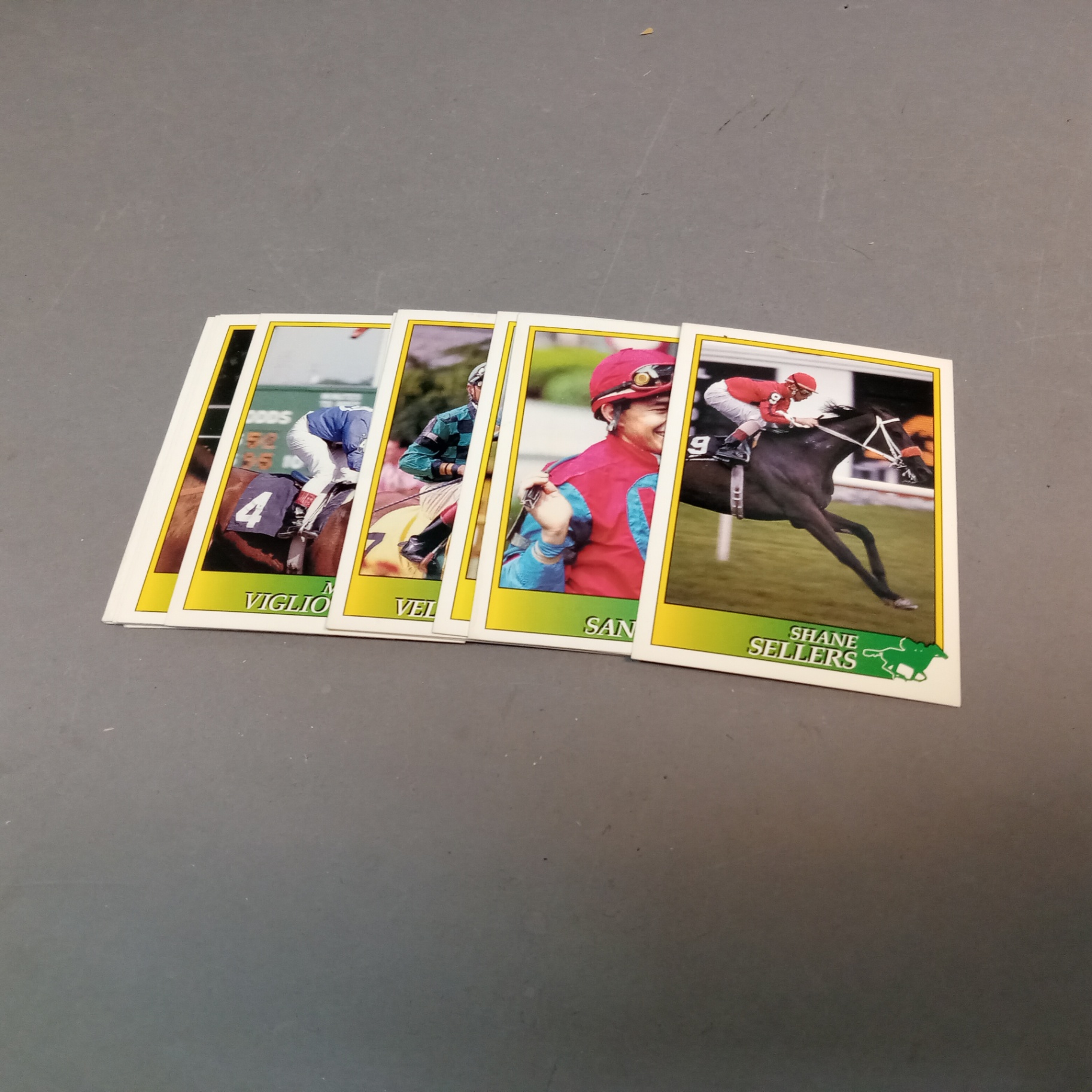 Jockey Stars Cards - image 9 of 13