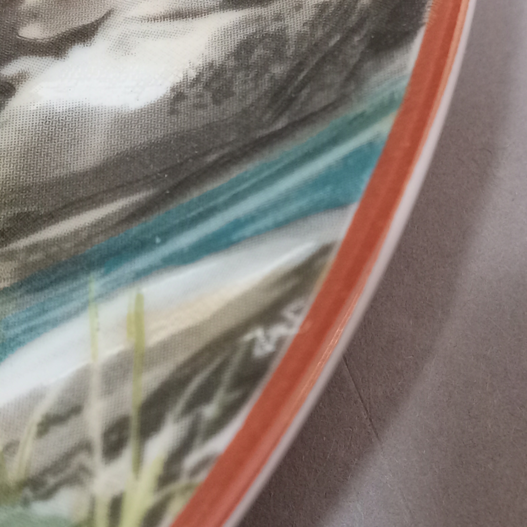 World Wildlife Fund Collector Plates - image 9 of 9