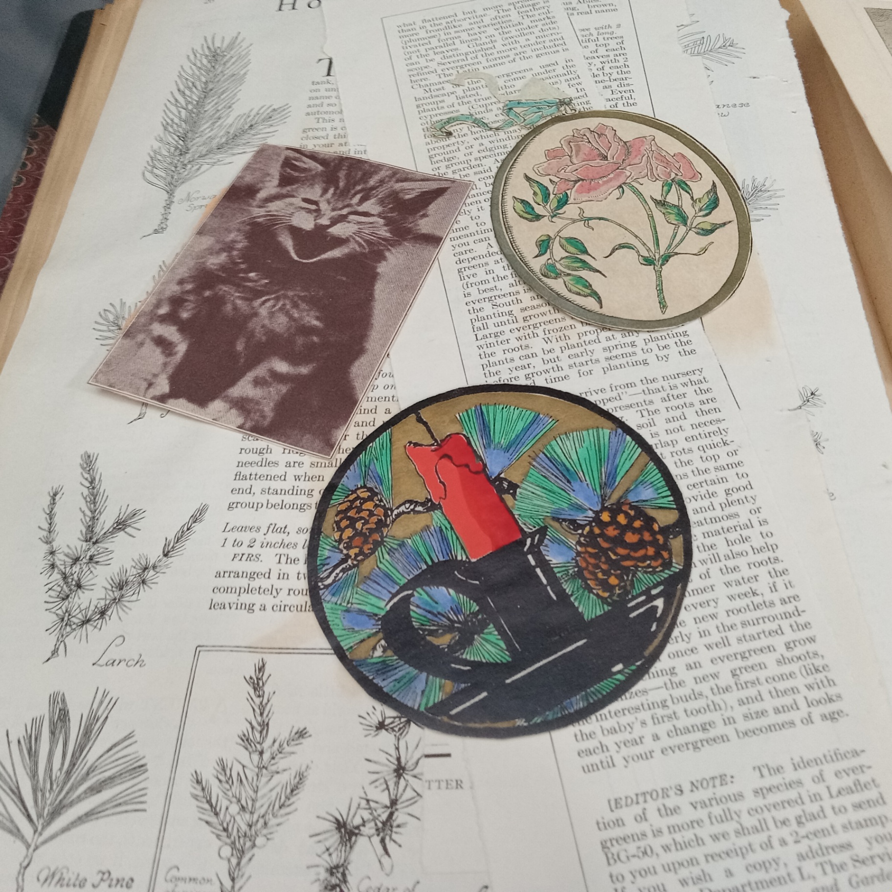 Antique Scrapbooks - Whimsical - image 9 of 25