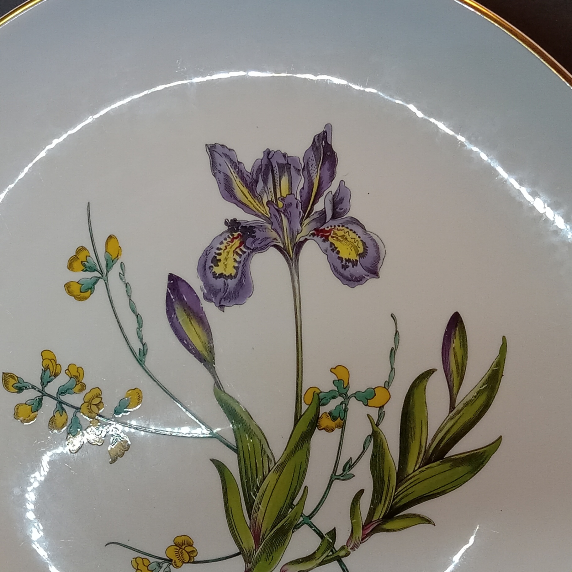 Spode Saffron Flowers Tableware - image 9 of 15