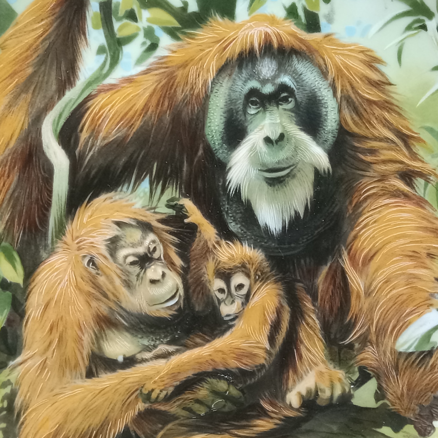 World Wildlife Fund Collector Plates - image 3 of 9