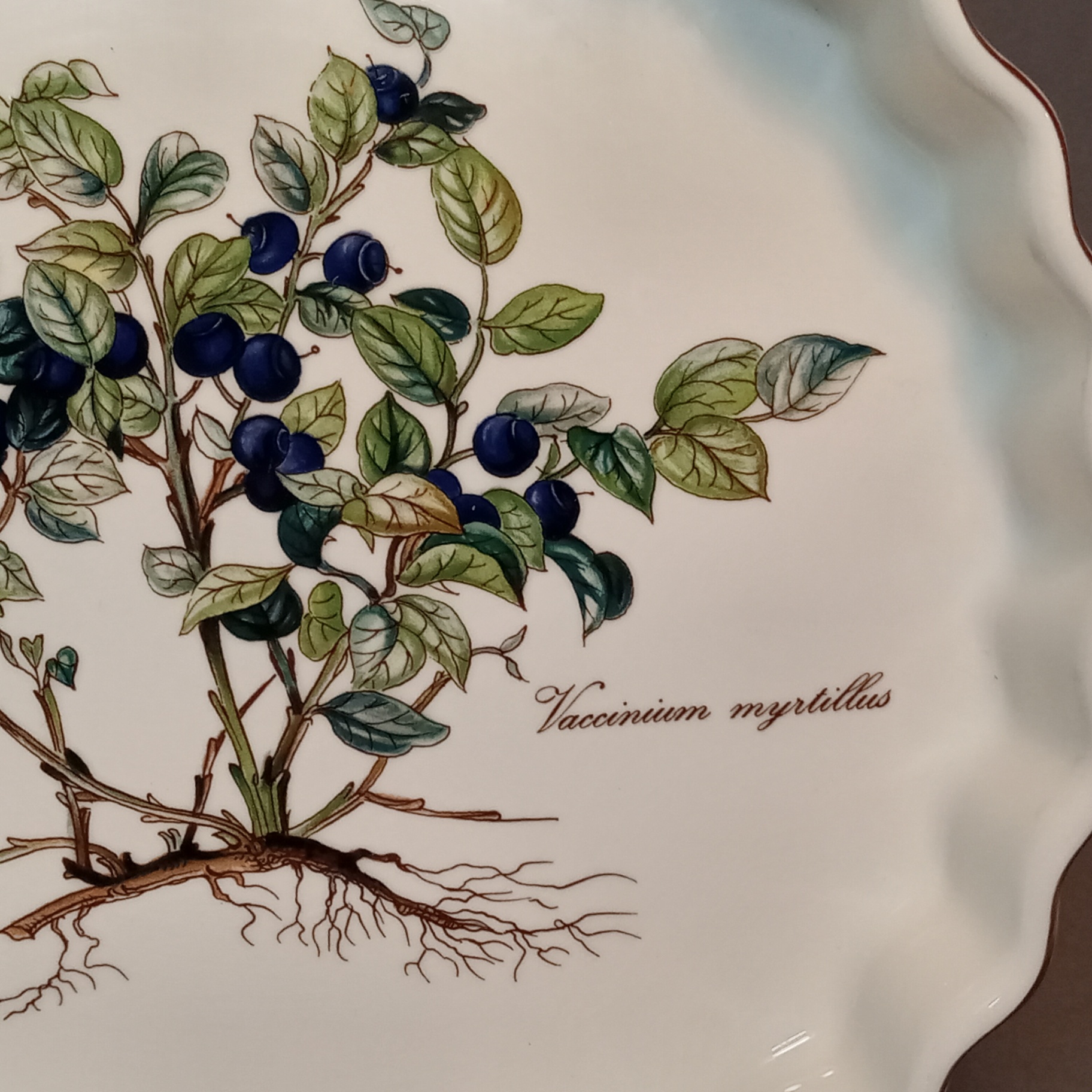 Villeroy & Boch Vilbofour Botanica Baking Dishes - image 3 of 11