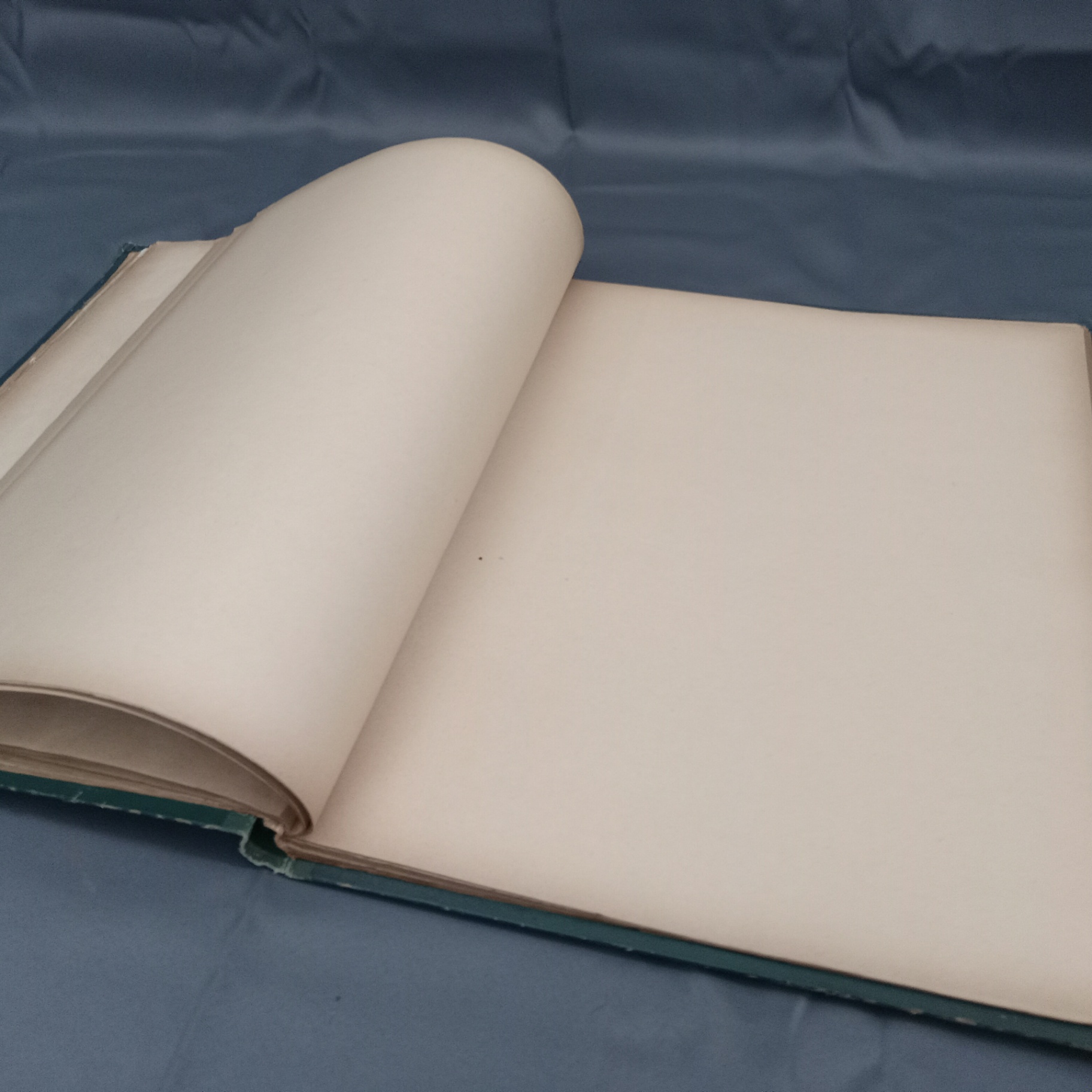 Antique Scrapbooks - Whimsical - image 24 of 25