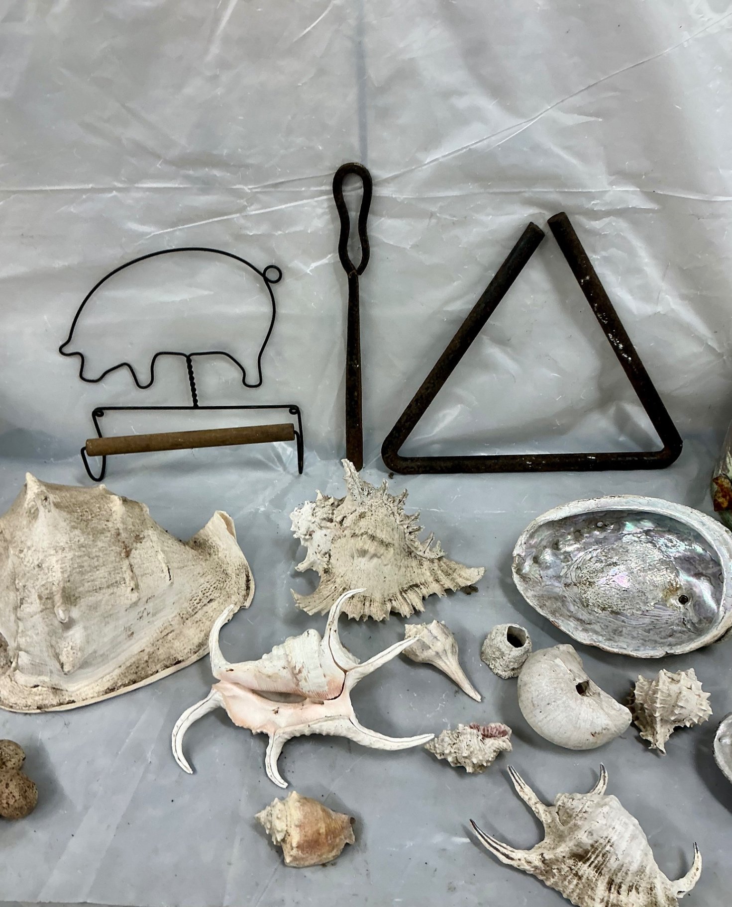 Metal Decor and Shells - image 5 of 5