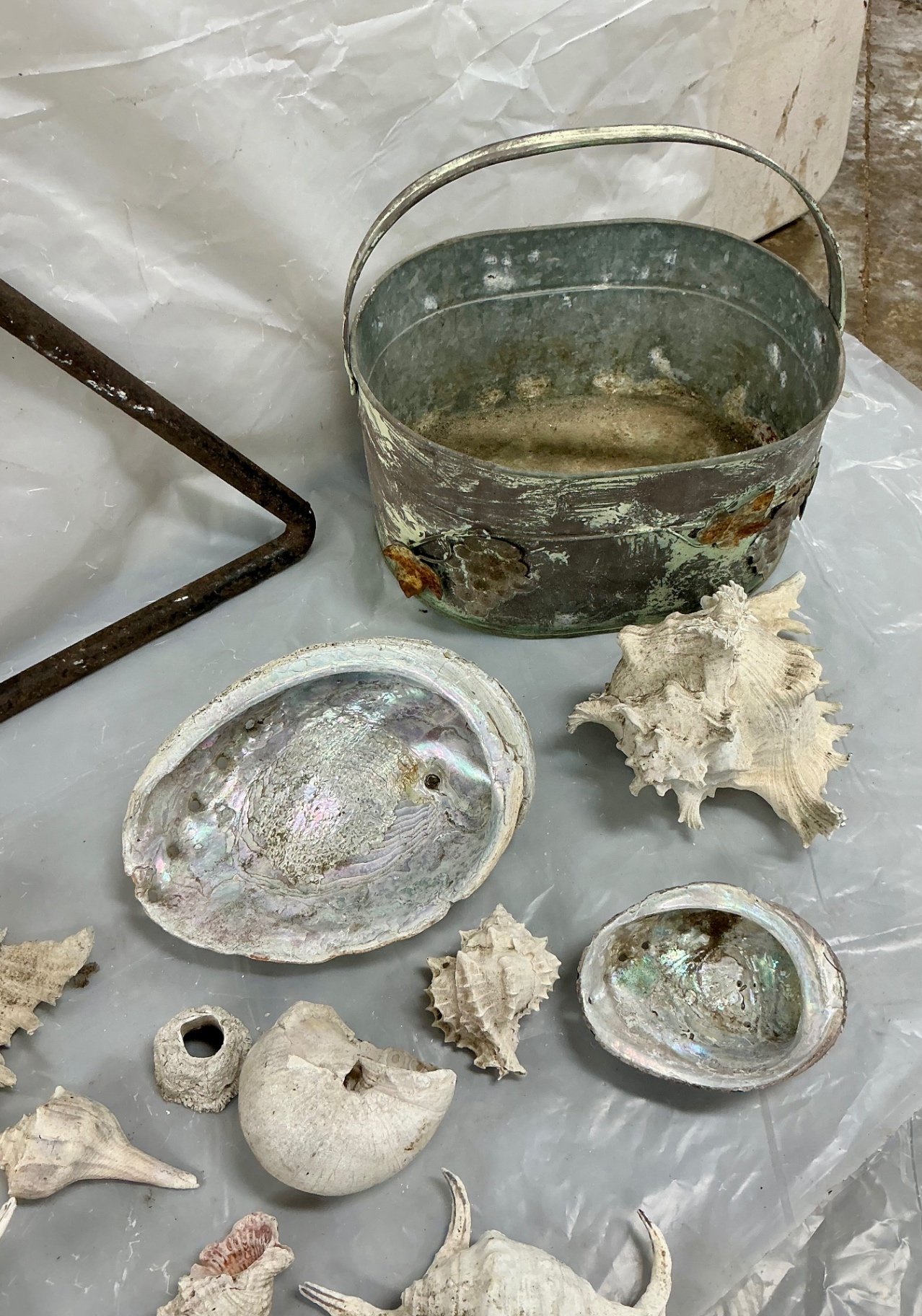 Metal Decor and Shells - image 4 of 5