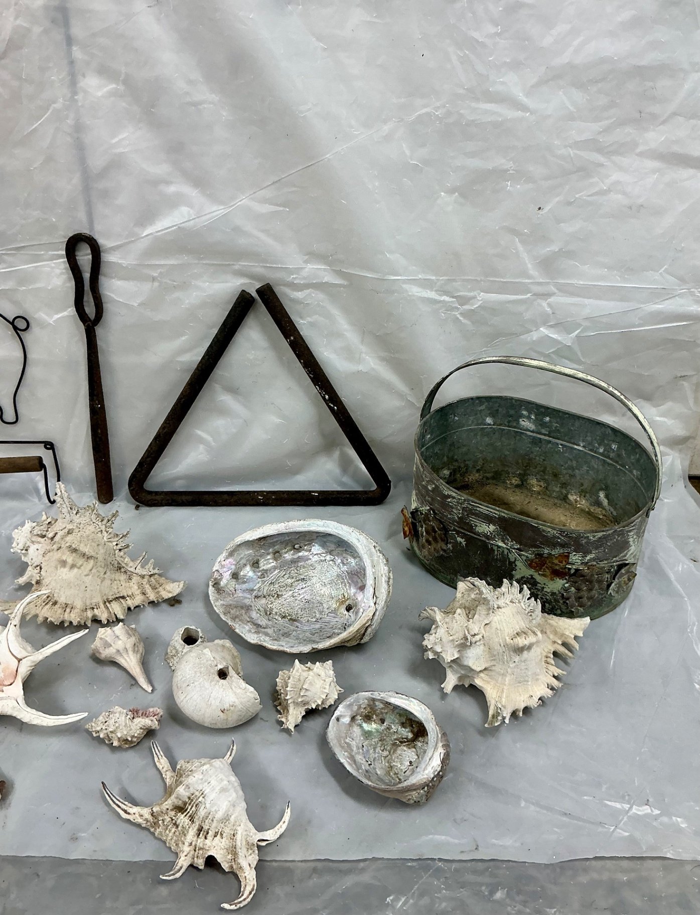 Metal Decor and Shells - image 3 of 5