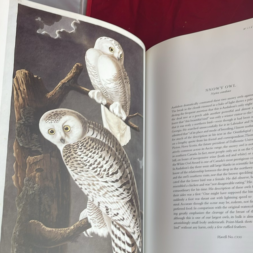 Books On Flowers And Birds - image 10 of 12