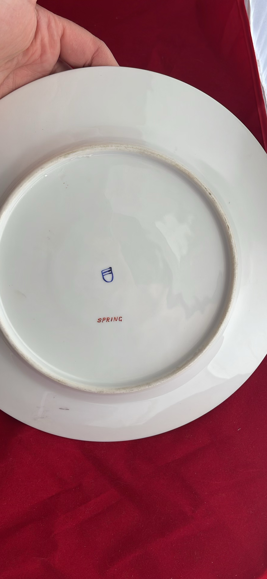 Antique Decorative Plates Including Royal Vienna - image 14 of 14