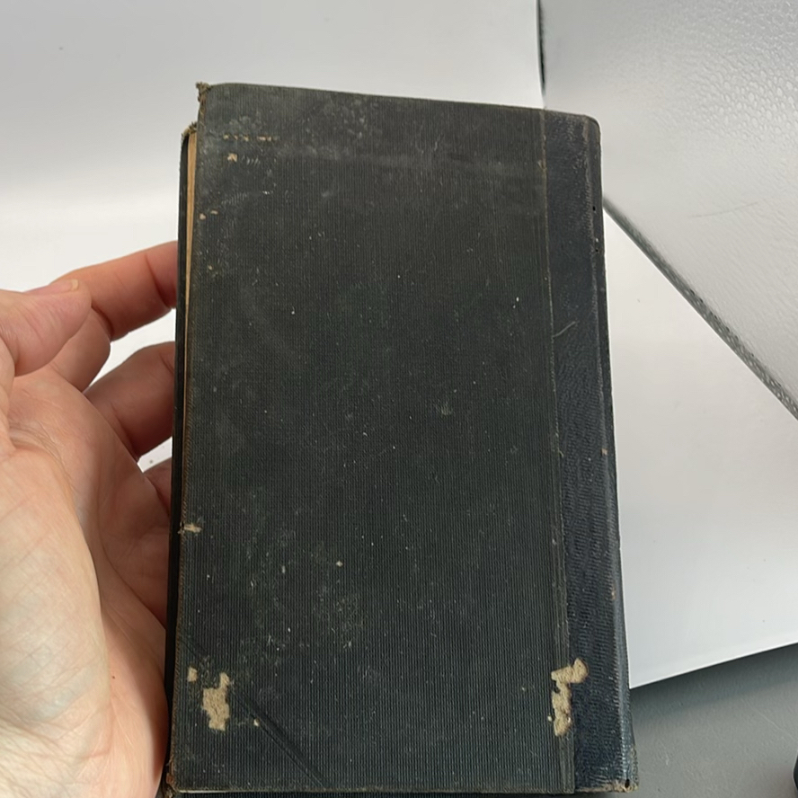 Personal Diary 1894 - image 8 of 8