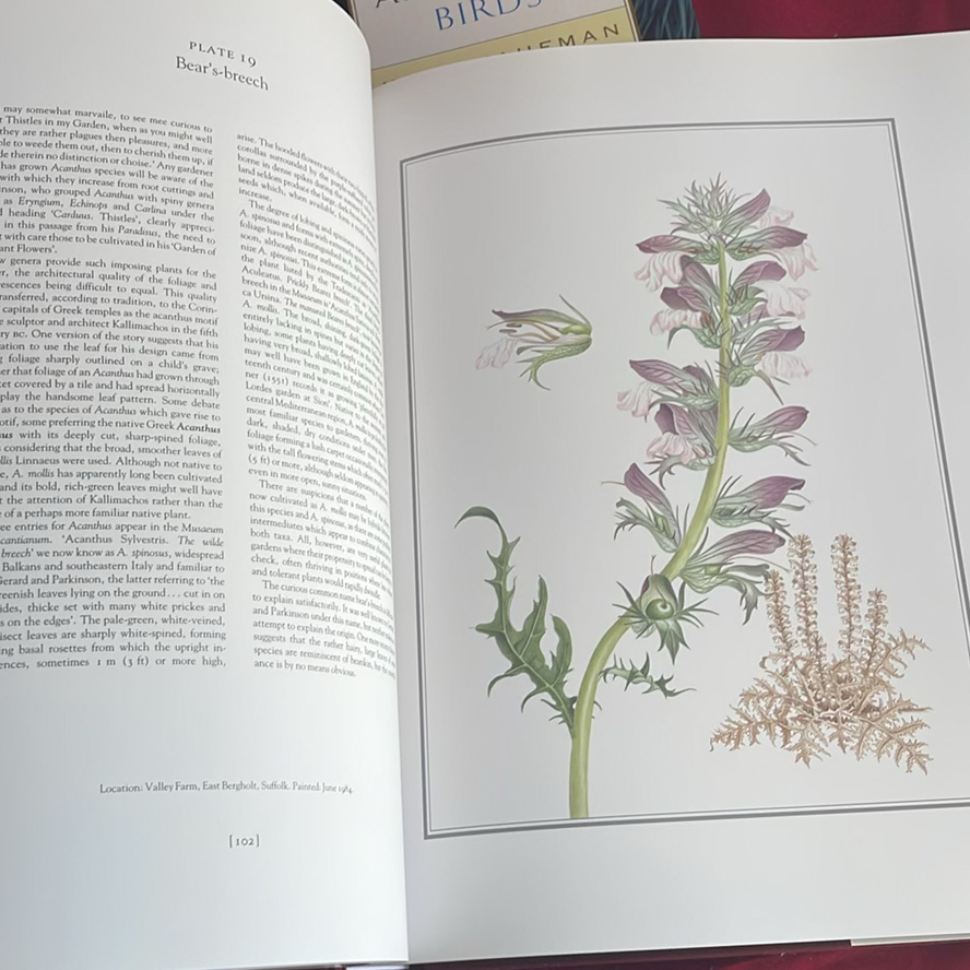 Books On Flowers And Birds - image 3 of 12