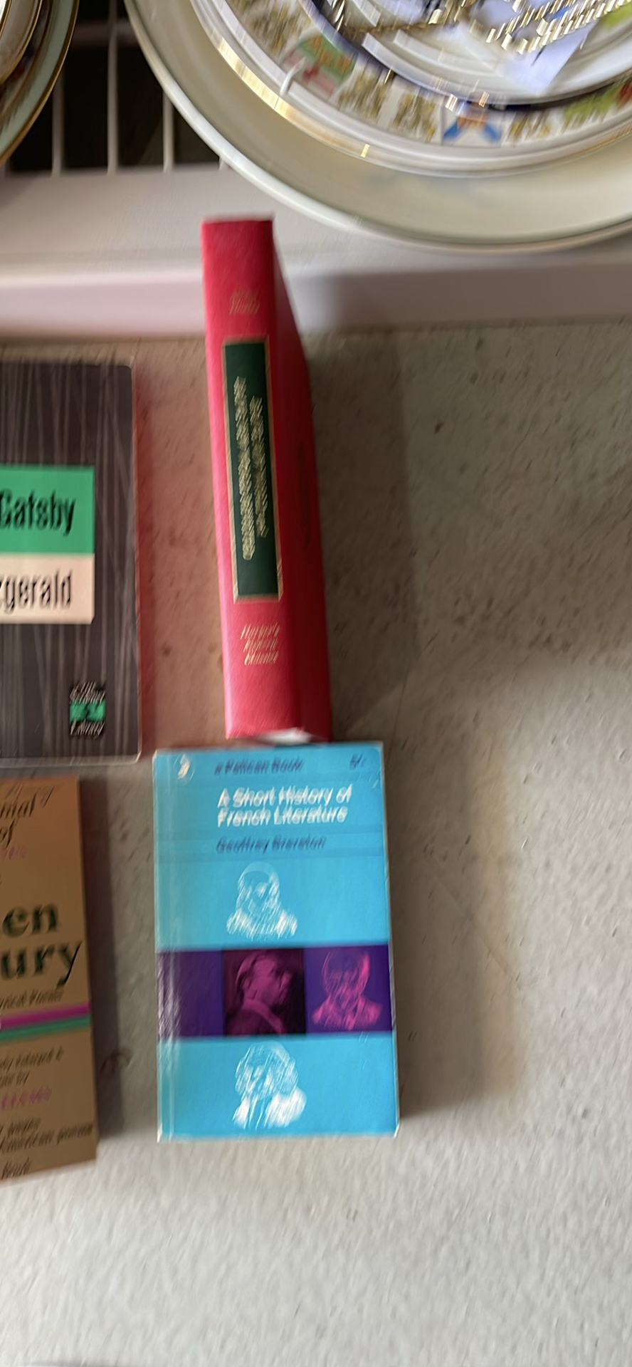 Various Religious Books And Classic Literature - image 4 of 7