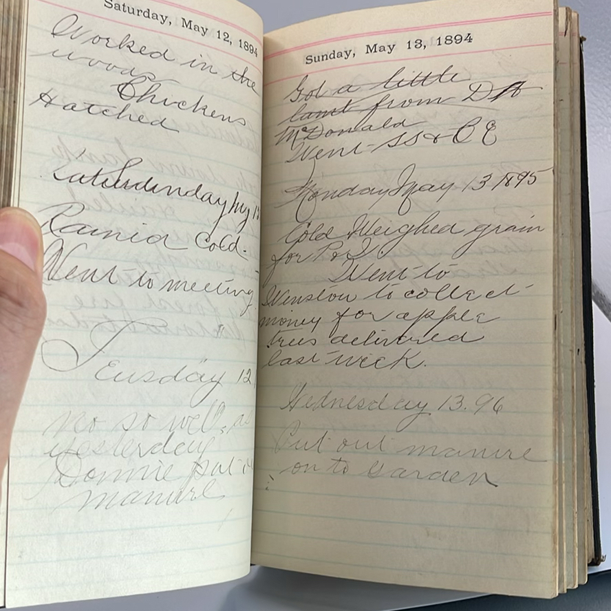 Personal Diary 1894 - image 5 of 8