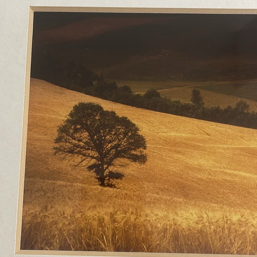 Andrea Rontini Photography Art Lone Tree - image 8 of 10
