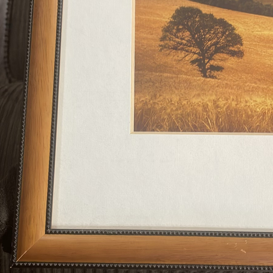 Andrea Rontini Photography Art Lone Tree - image 2 of 10