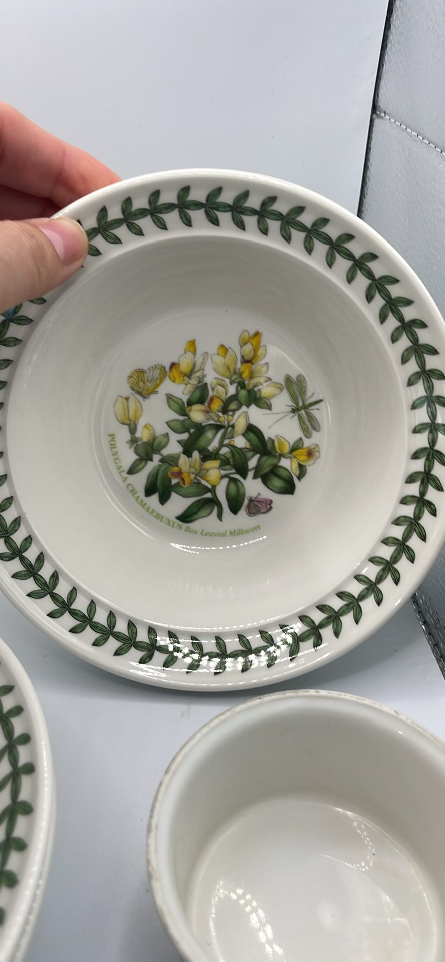 Portmeirion Botanic Garden Bowls - image 3 of 8