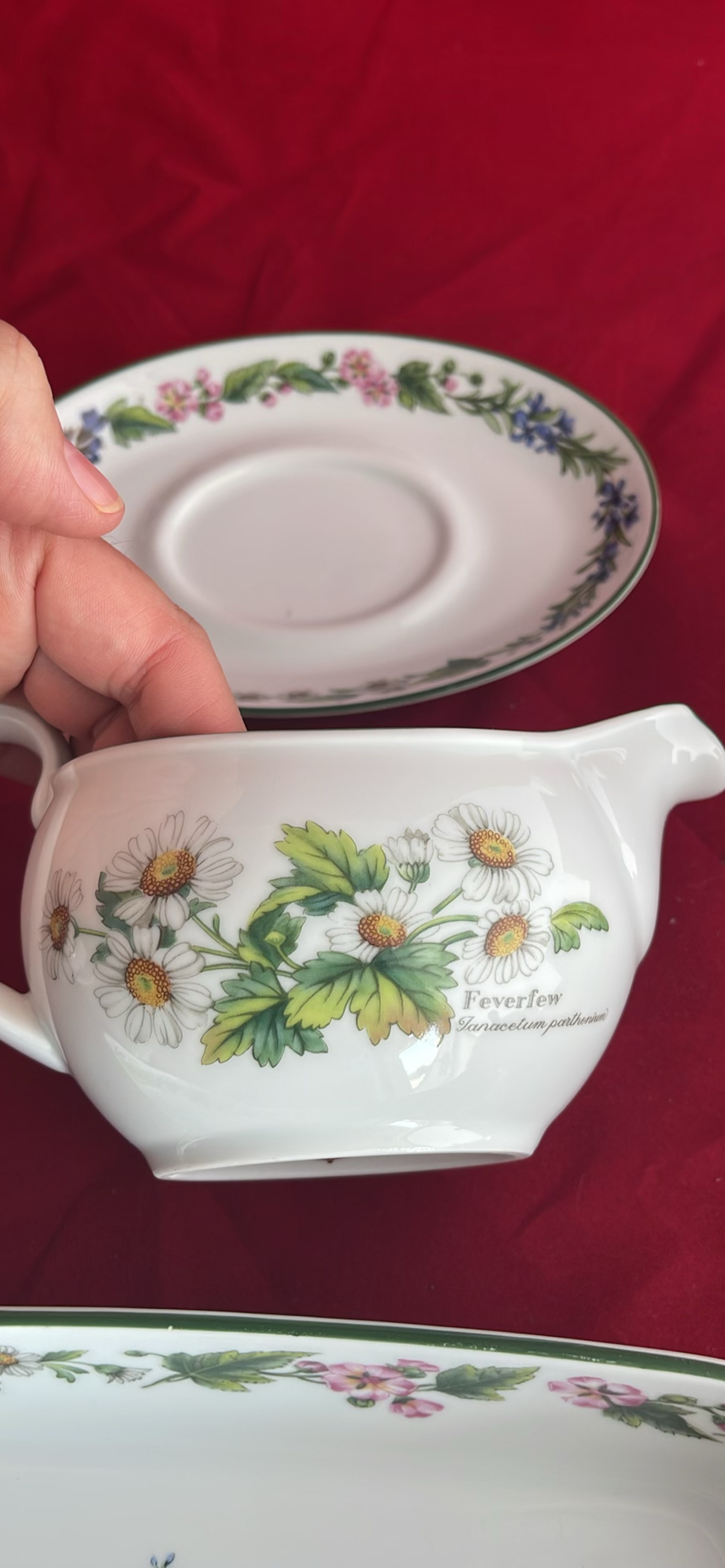 Royal Worcester Herbs pattern - image 10 of 20