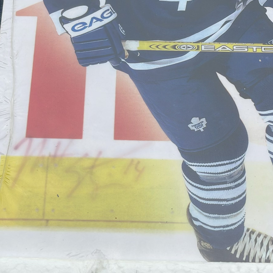 Toronto Maple Leafs Matt Stajan Plaque - image 2 of 4