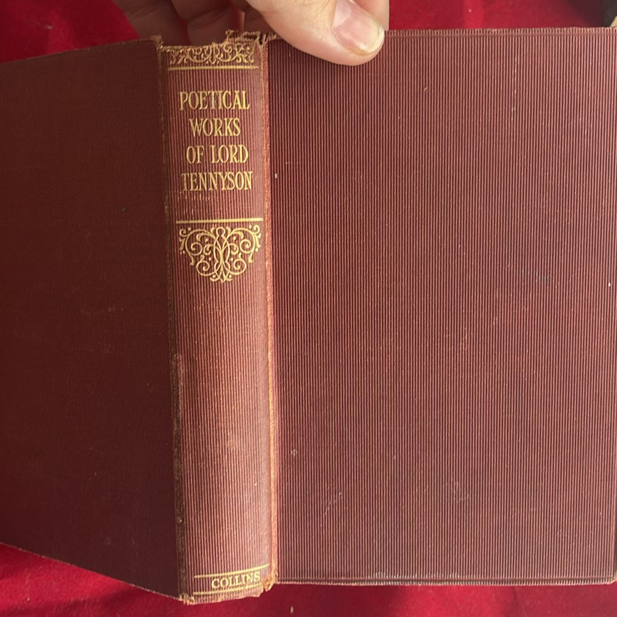 Vintage Books - image 13 of 23