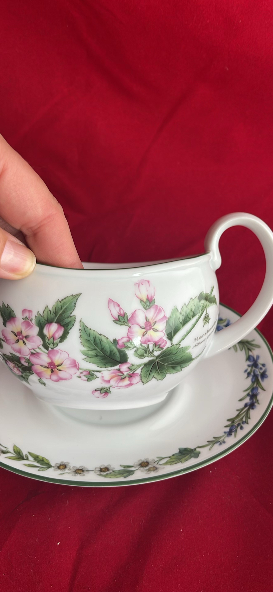Royal Worcester Herbs pattern - image 8 of 20