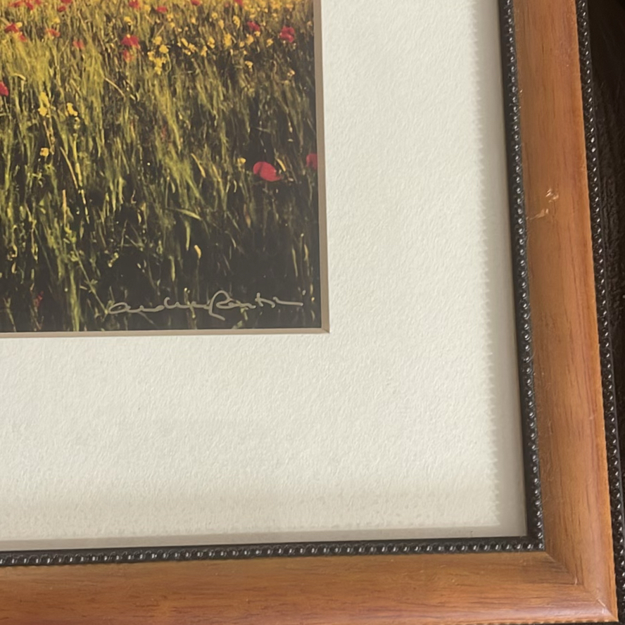 Andrea Rontini Fine Art Framed Photography - image 6 of 8