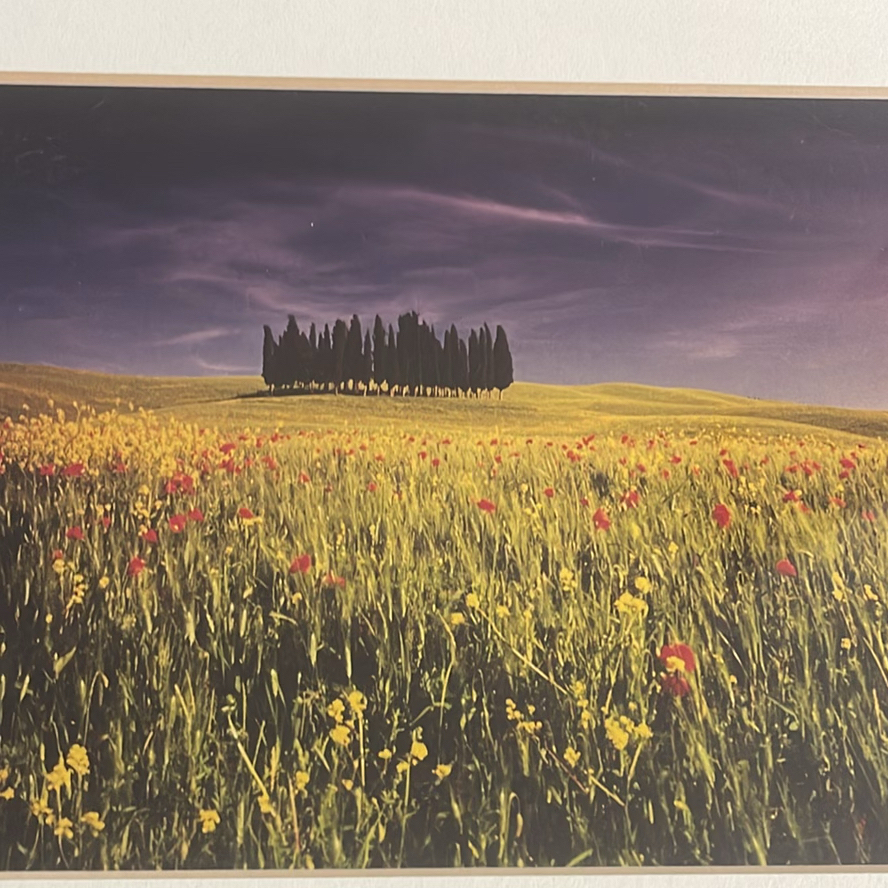 Andrea Rontini Fine Art Framed Photography - image 4 of 8