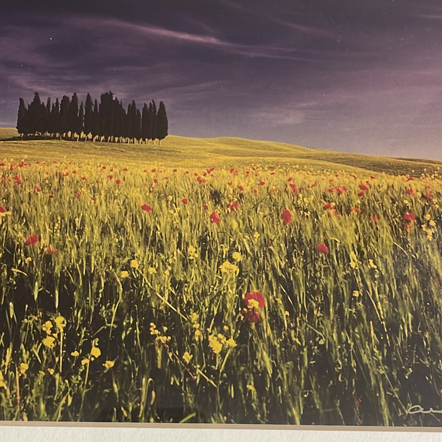 Andrea Rontini Fine Art Framed Photography - image 7 of 8