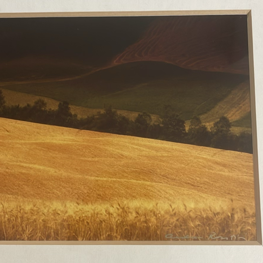 Andrea Rontini Photography Art Lone Tree - image 9 of 10