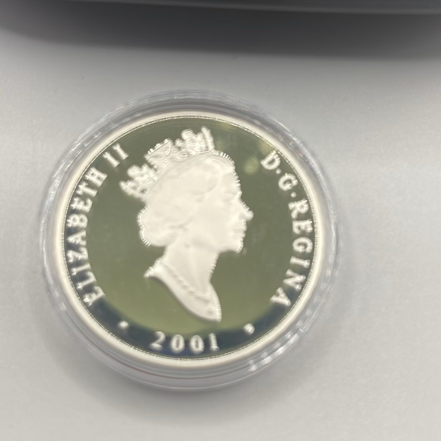 2001 Silver Coin - image 9 of 10