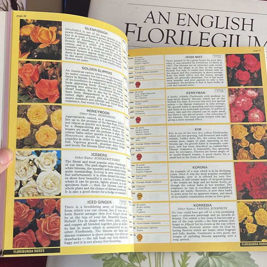Books On Flowers And Birds - image 6 of 12