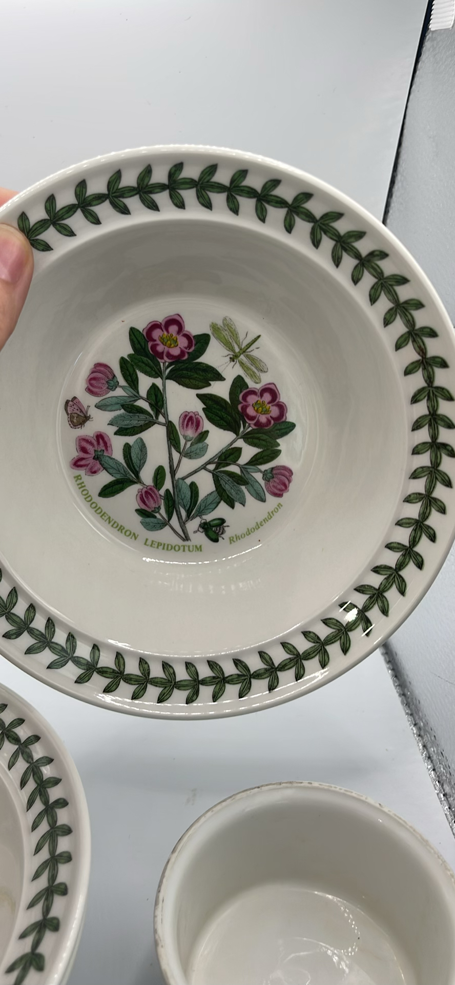 Portmeirion Botanic Garden Bowls - image 5 of 8