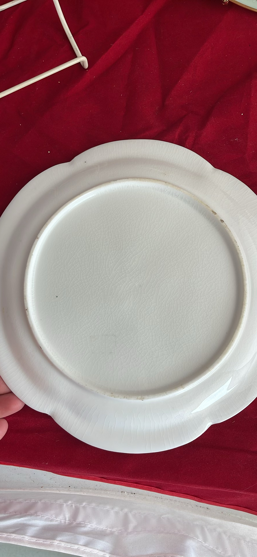 Antique Decorative Plates Including Royal Vienna - image 5 of 14