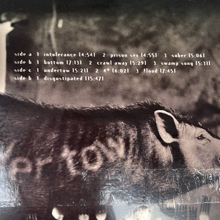 Tool Undertow, Van Halen Fair Warning And 5150, Gone With The Wind Records - image 16 of 16